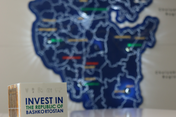 В Башкортостане на треть увеличилось количество проанализированных свободных площадок для инвесторов