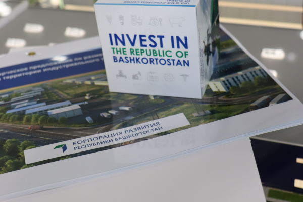 В Башкортостане инвесторам представили проекты по переработке дикоросов