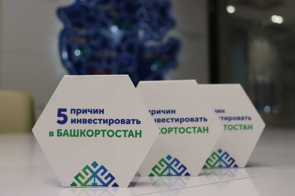 Корпорация развития предложила инвесторам разместить в Башкортостане биофабрику для молочной продукции